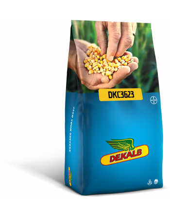 KUKURYDZA DKC 3623 FAO 260 OPAK. 50TYS NAS. ZIARNO